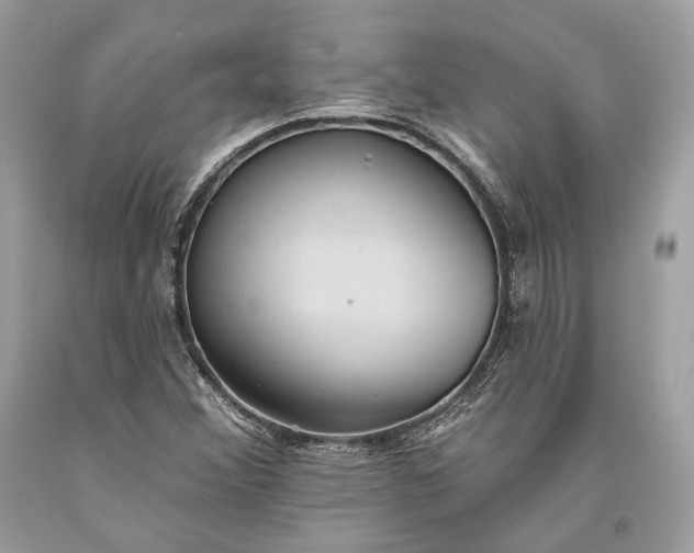 X0000093521356200710261210