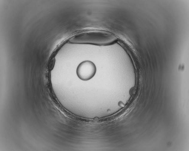 X0000093521357200710261210