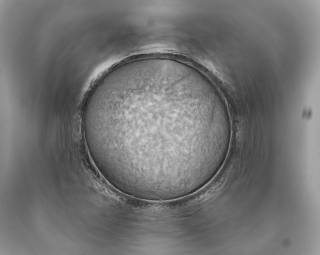 X0000093521358200710261210