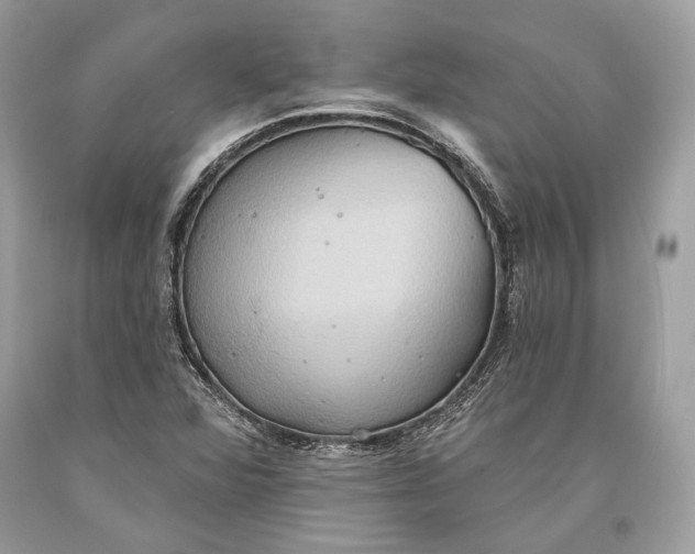 X0000093521360200710261210