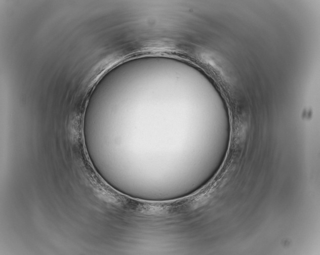 X0000093521361200710261210