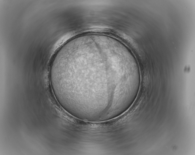 X0000093521362200710261210