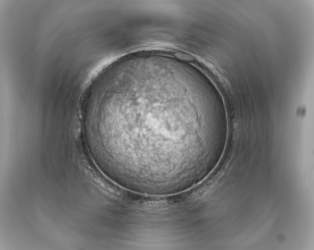 X0000093521363200710261210