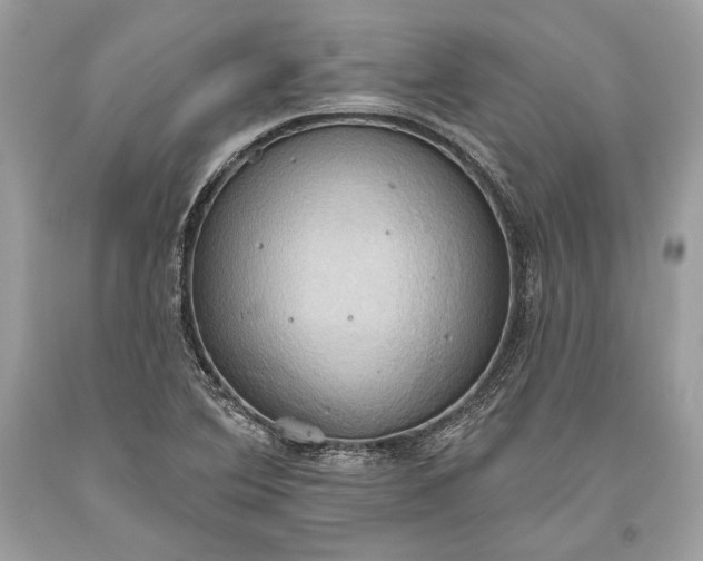 X0000093521364200710261210