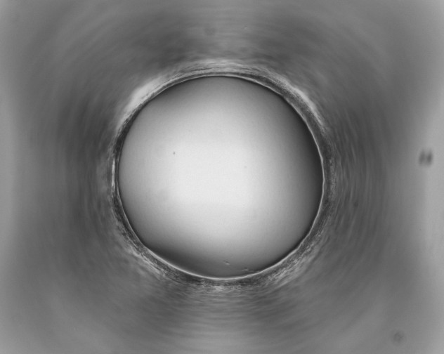 X0000093521365200710261210