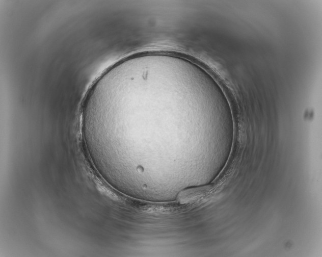 X0000093521366200710261210