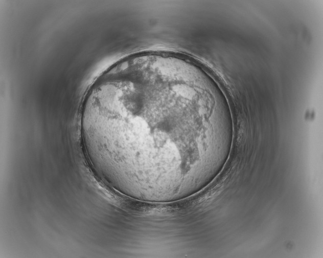 X0000093521367200710261210