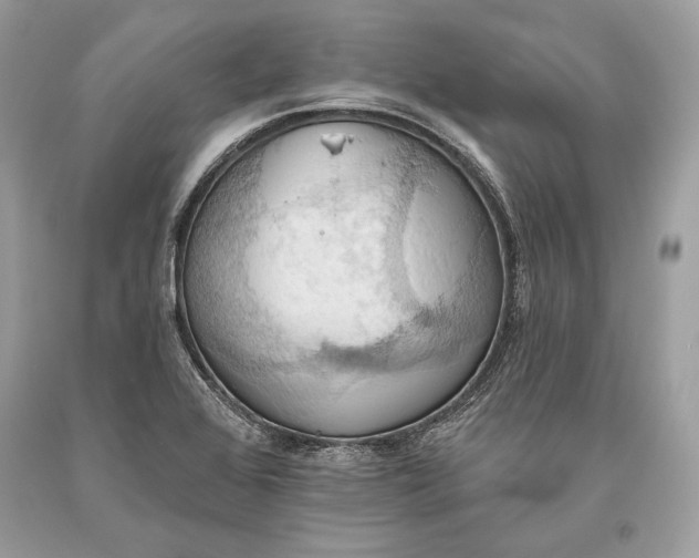 X0000093521368200710261210