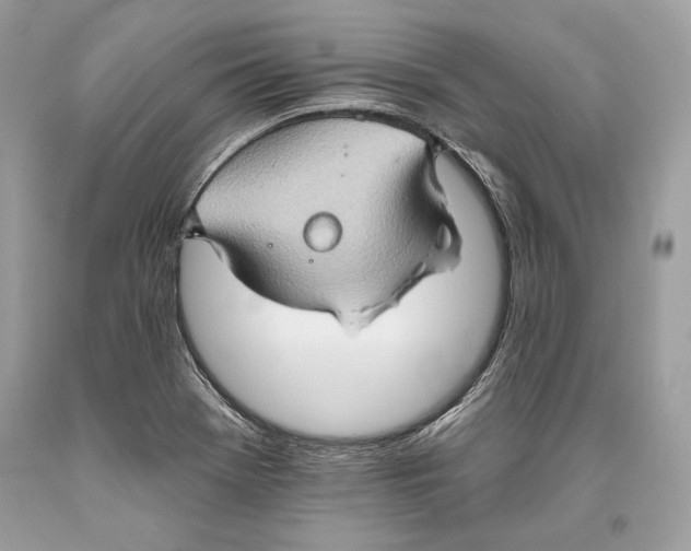 X0000093521369200710261210