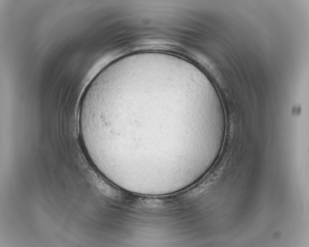 X0000093521370200710261210