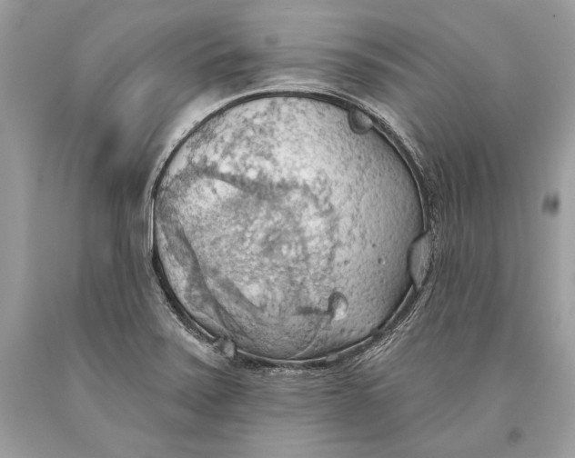 X0000093521371200710261210