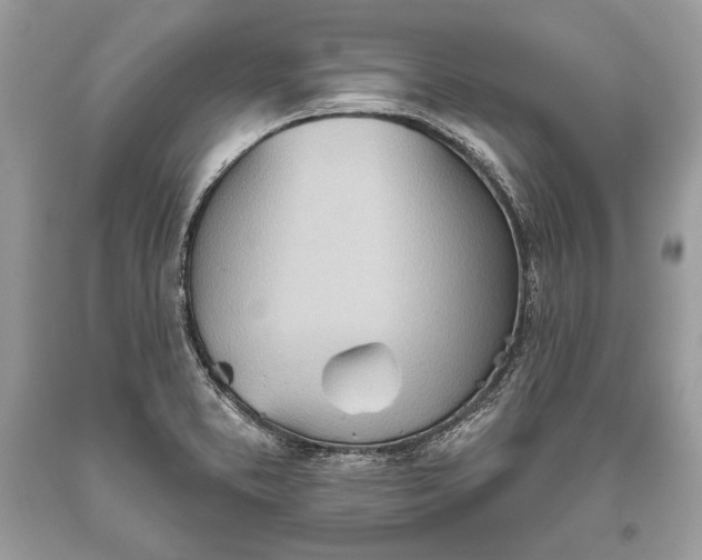 X0000093521373200710261210