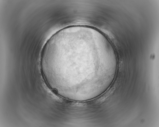 X0000093521374200710261210