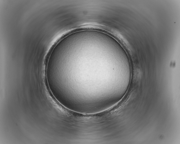 X0000093521376200710261210