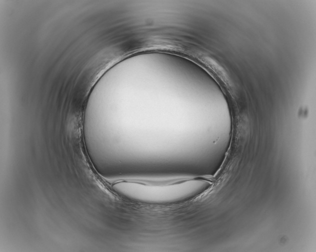 X0000093521377200710261210