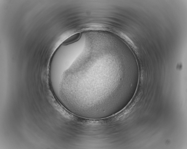 X0000093521378200710261210