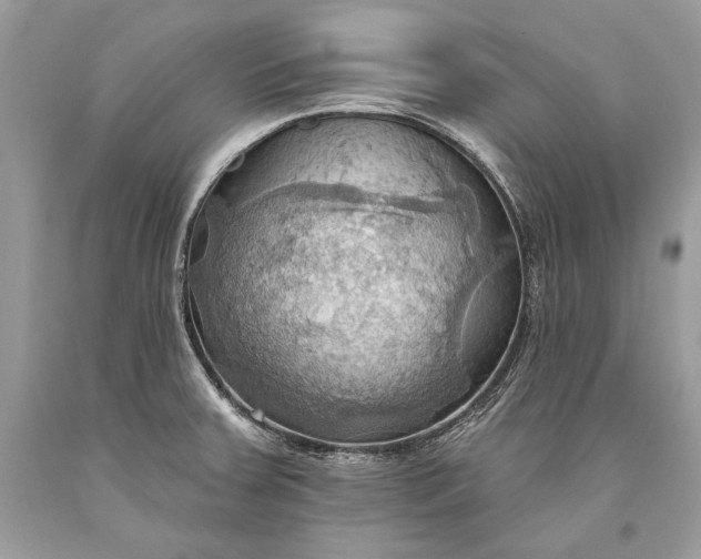 X0000093521379200710261210