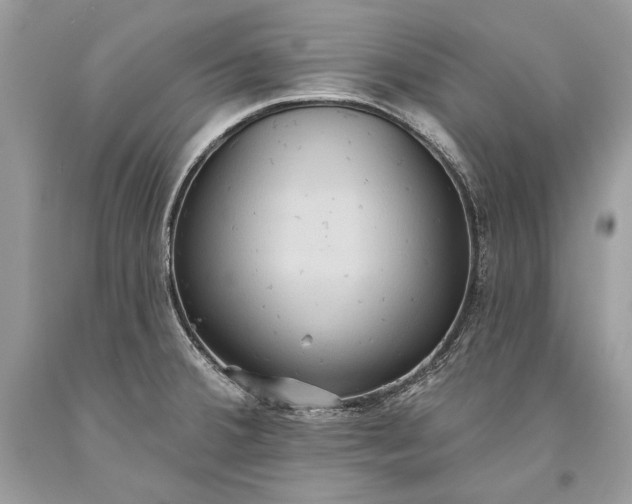 X0000093521380200710261210