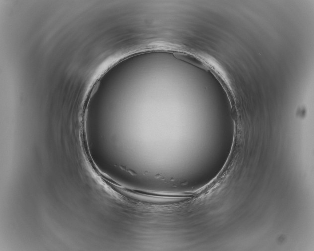 X0000093521381200710261210