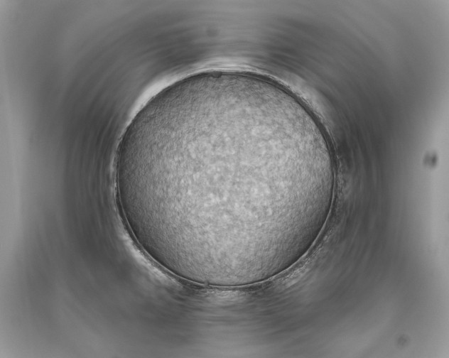 X0000093521382200710261210