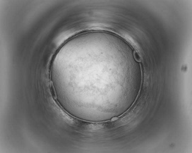 X0000093521384200710261210