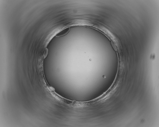 X0000093521385200710261210