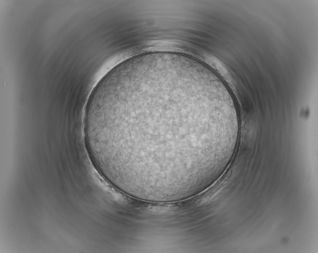 X0000093521386200710261210