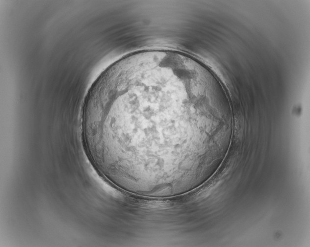 X0000093521387200710261210