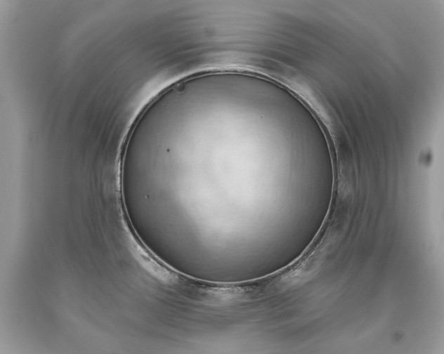 X0000093521388200710261210