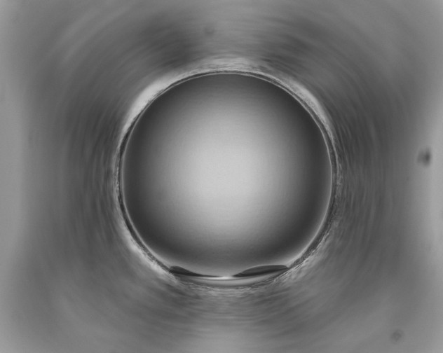 X0000093521389200710261210