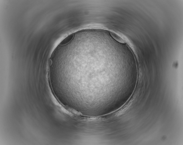 X0000093521390200710261210