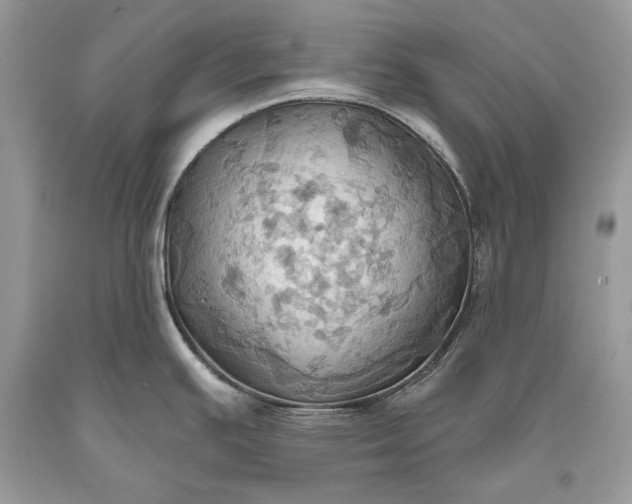 X0000093521391200710261210