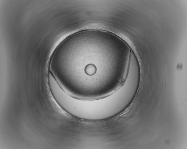 X0000093521392200710261210