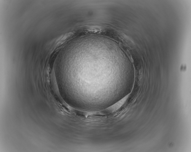 X0000093521394200710261209