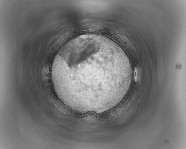 X0000093521395200710261209