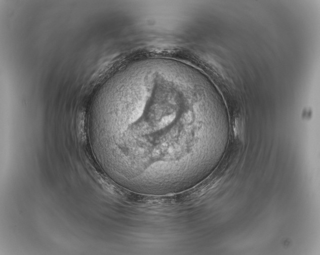 X0000093521396200710261209