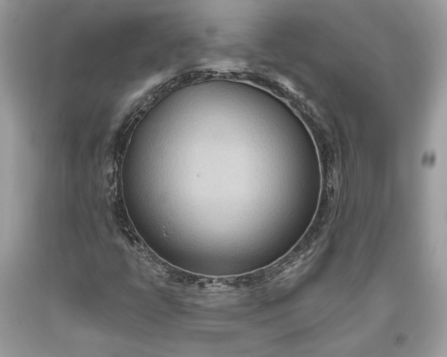 X0000093521398200710261209