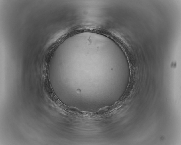 X0000093521399200710261209