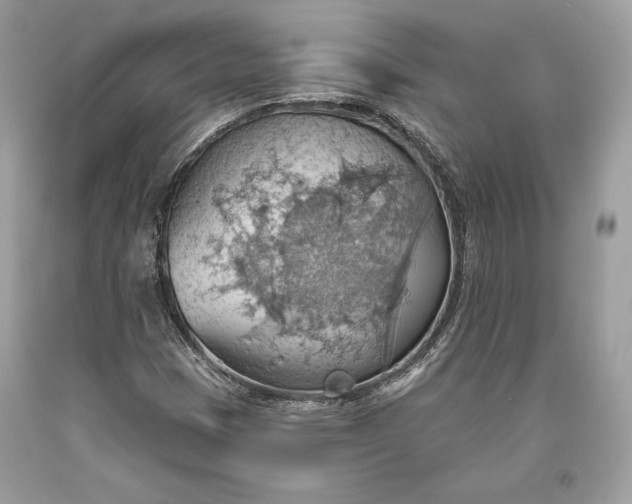 X0000093521401200710261209