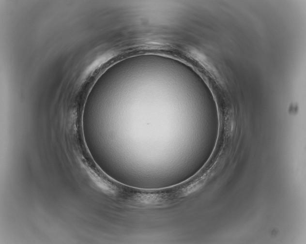 X0000093521402200710261209