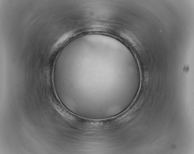 X0000093521403200710261209