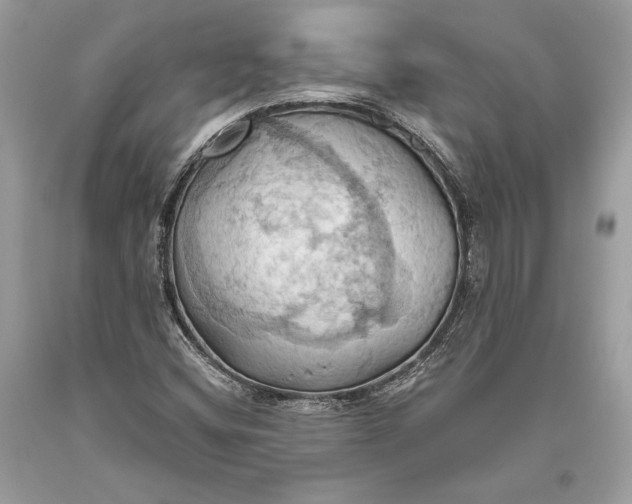 X0000093521404200710261209