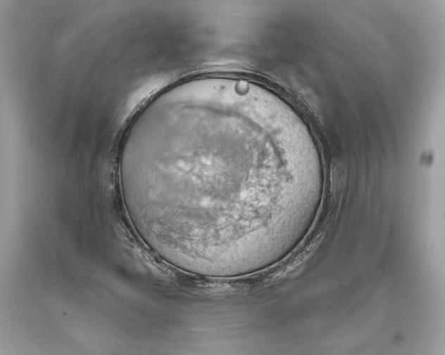 X0000093521405200710261209