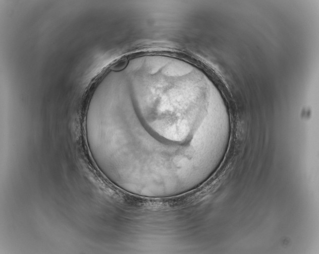 X0000093521407200710261209