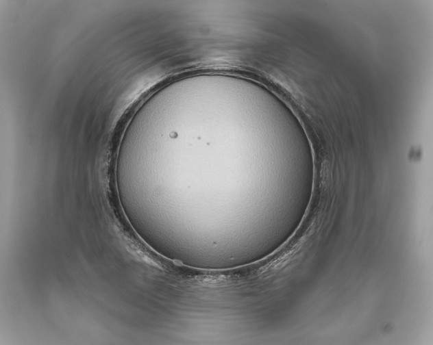 X0000093521410200710261209