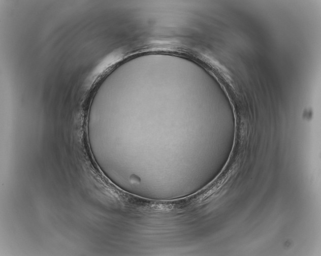 X0000093521411200710261209