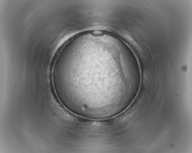 X0000093521412200710261209