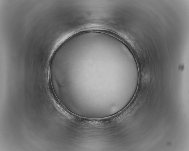 X0000093521413200710261209