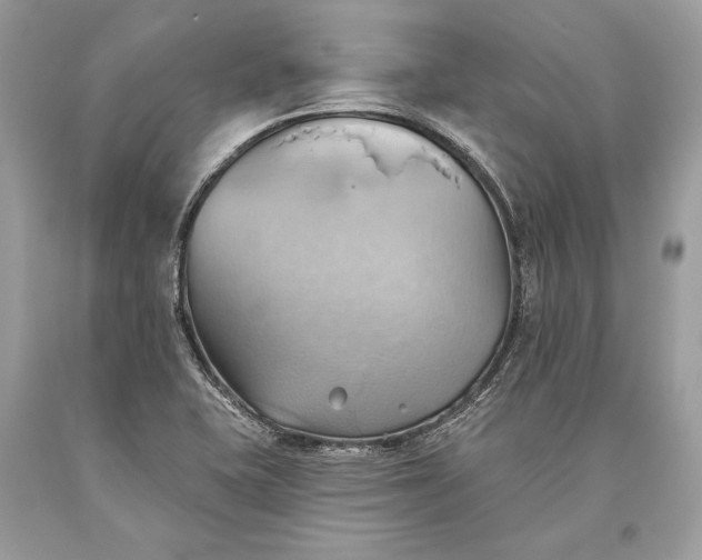 X0000093521415200710261209