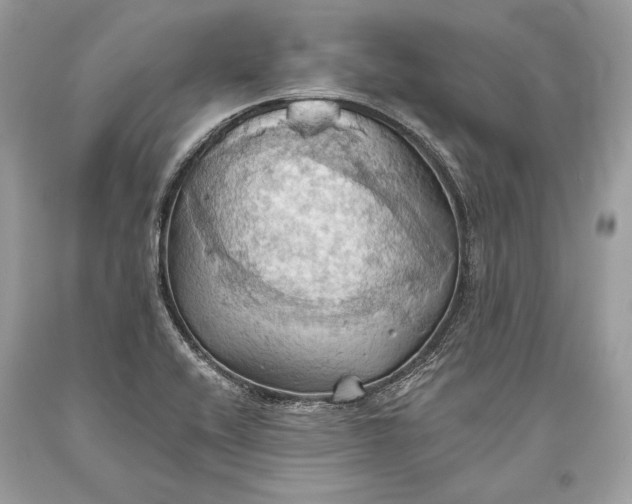 X0000093521416200710261209